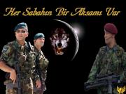 norchioni - Ait Kullanıcı Resmi (Avatar)